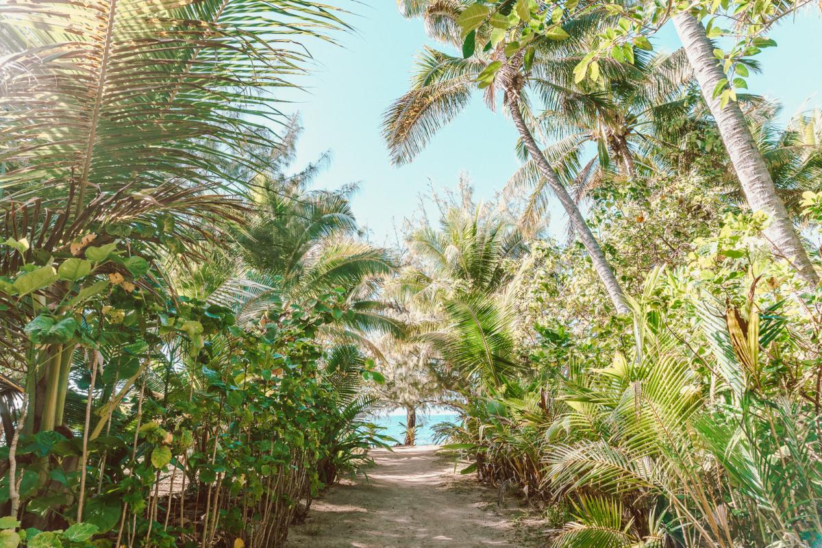 barefoot Manta resort yasawa fiji