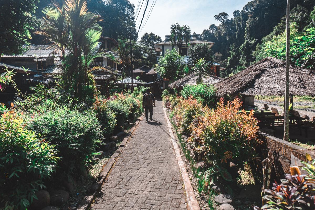 bakit lawang sumatra indonesia orangutan