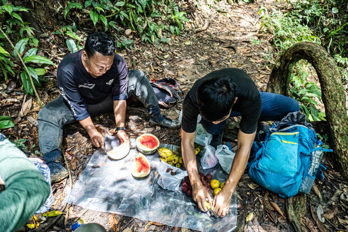 sumatra orangutan trekking bakit lawang