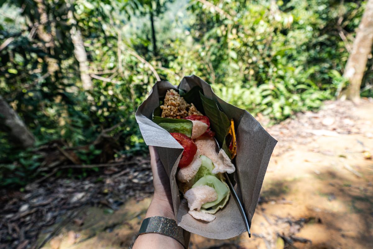sumatra orangutan trekking bakit lawang