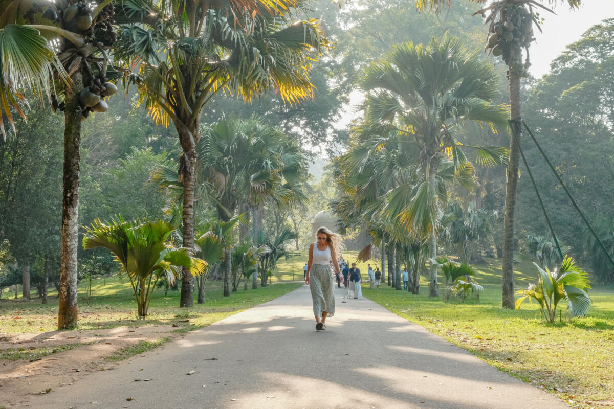 Botanical Gardens Kandy Sri Lanka