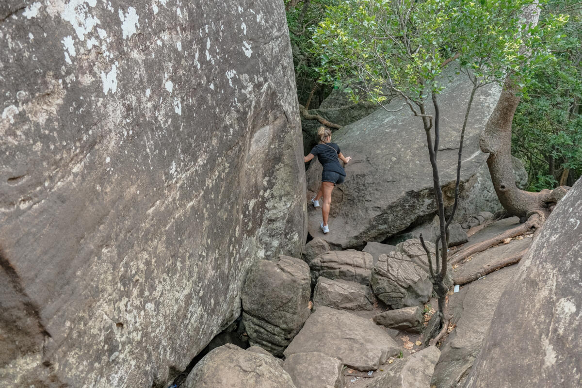 Sigiriya from Pidurangala Rock