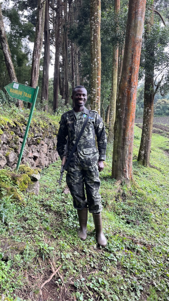 gorilla trekking in rwanda volcanoes national park