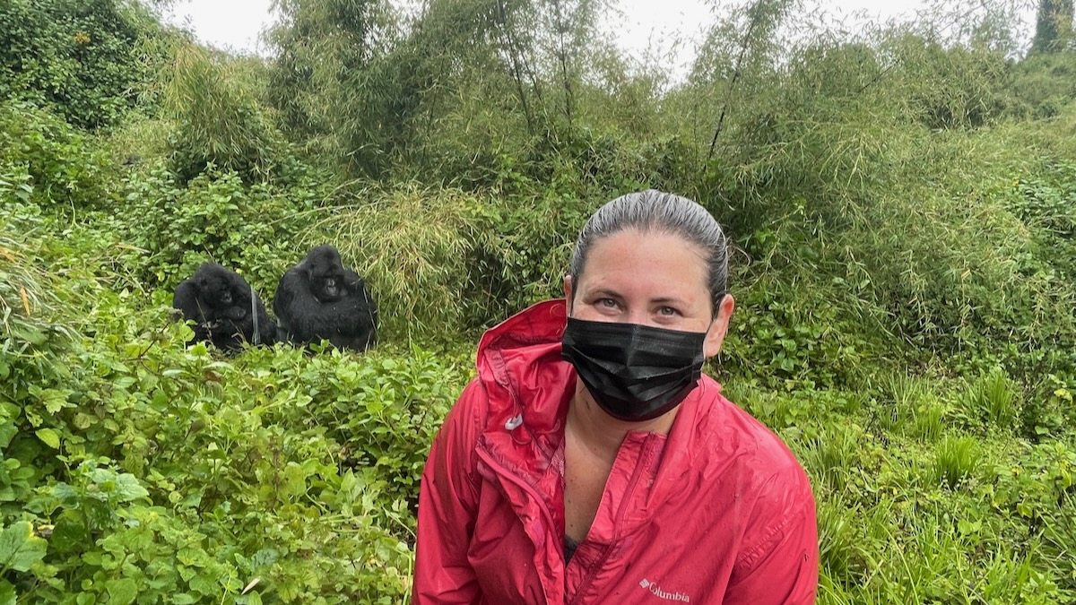 gorilla trekking rwanda