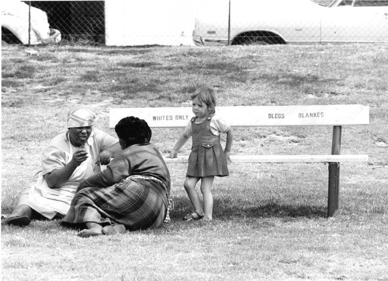 apartheid white and black bench