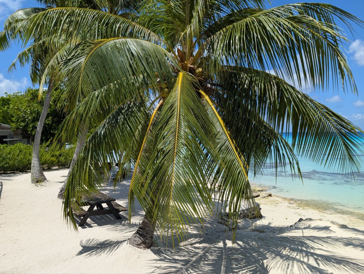 Dive shop o2 fakarava