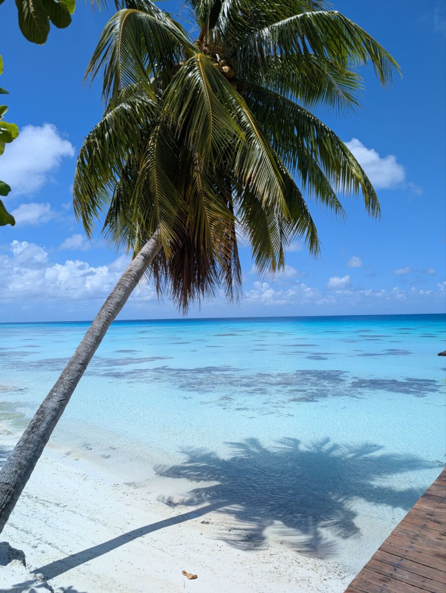Dive shop o2 fakarava