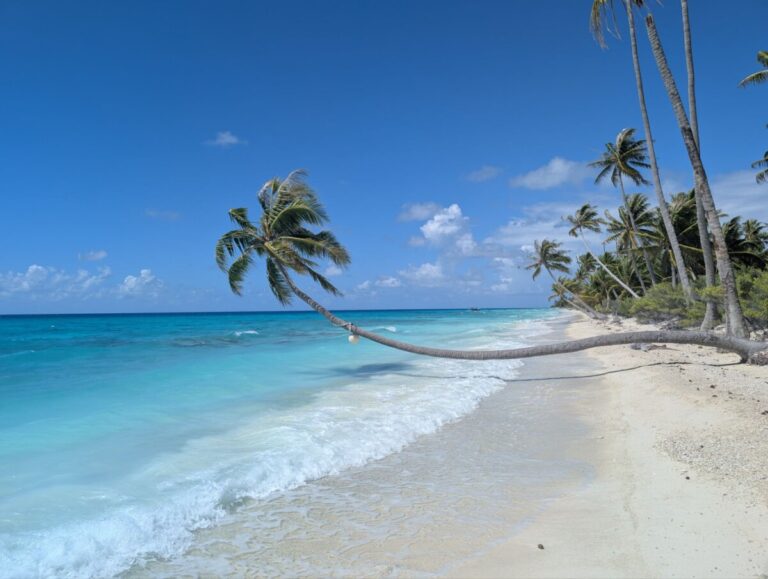 pk9 beach fakara