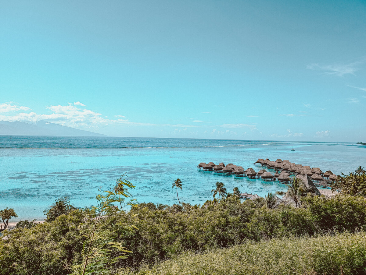 MOorea viewpoint