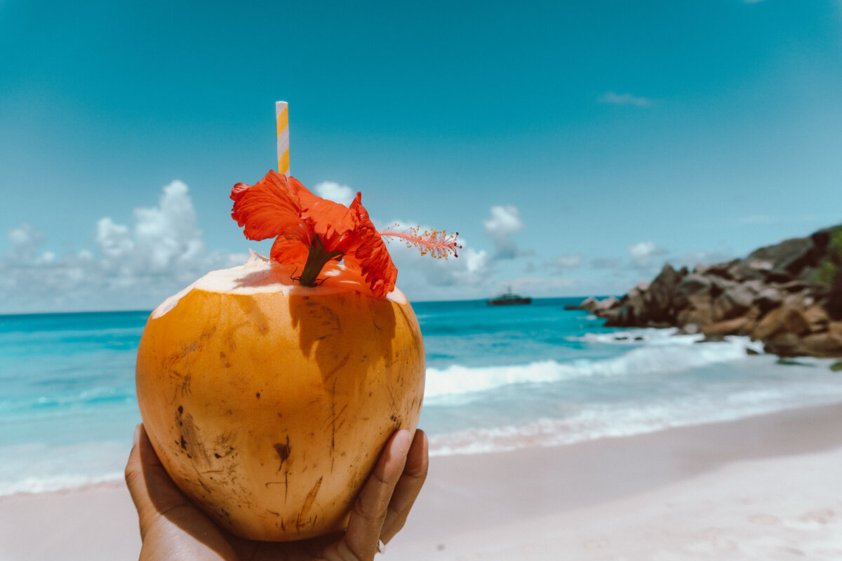 Petite anse coconut seychelles
