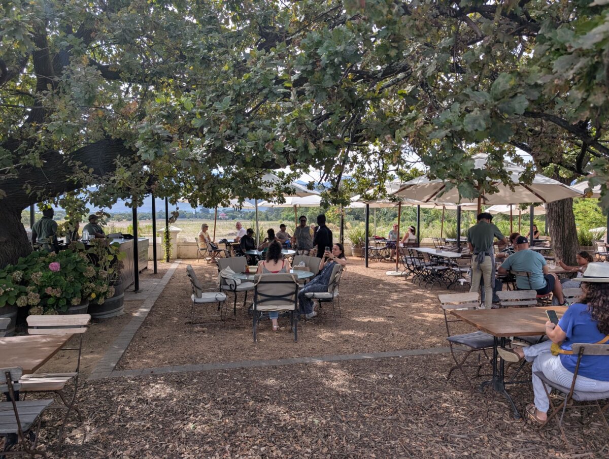 Plaisir wine farm stellenbosch cape town