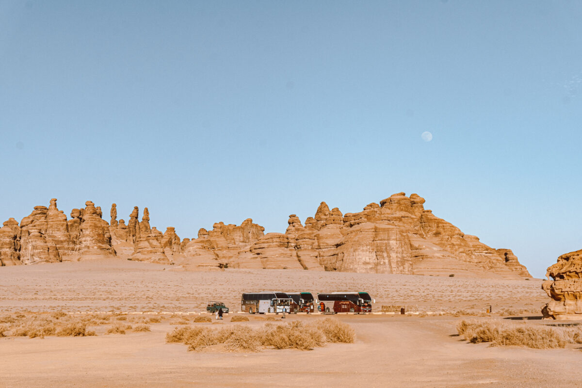 Alula saudi arabia