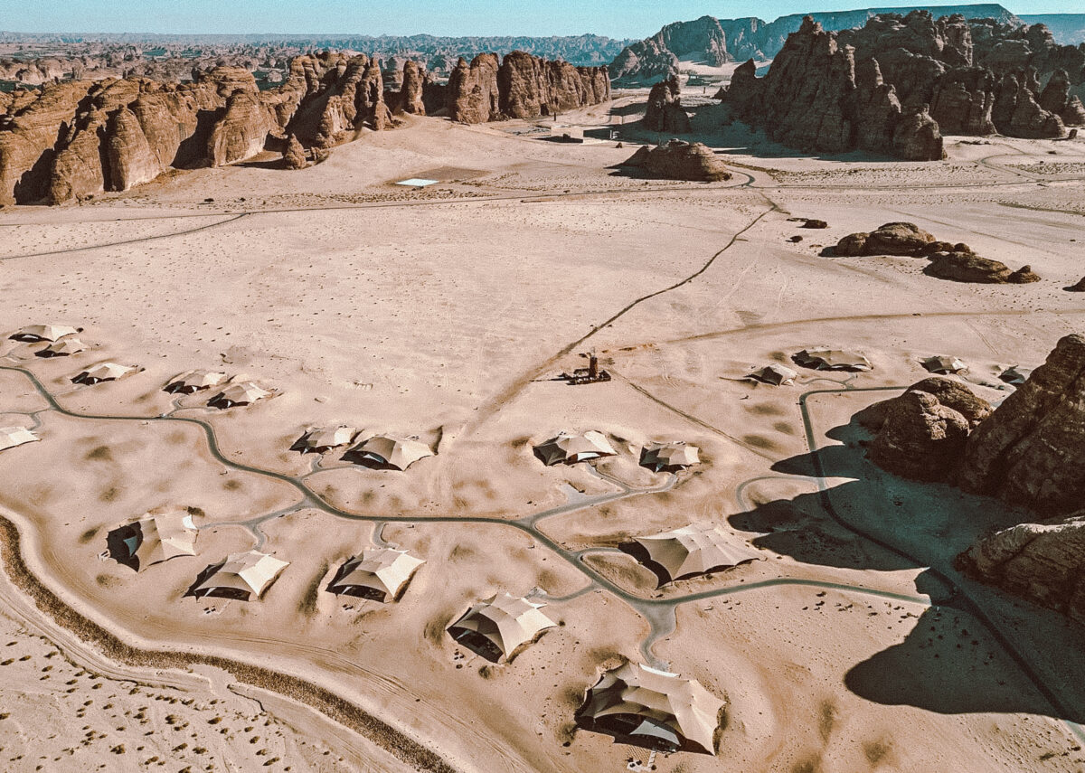 banyan tree aerial drone view alula saudi