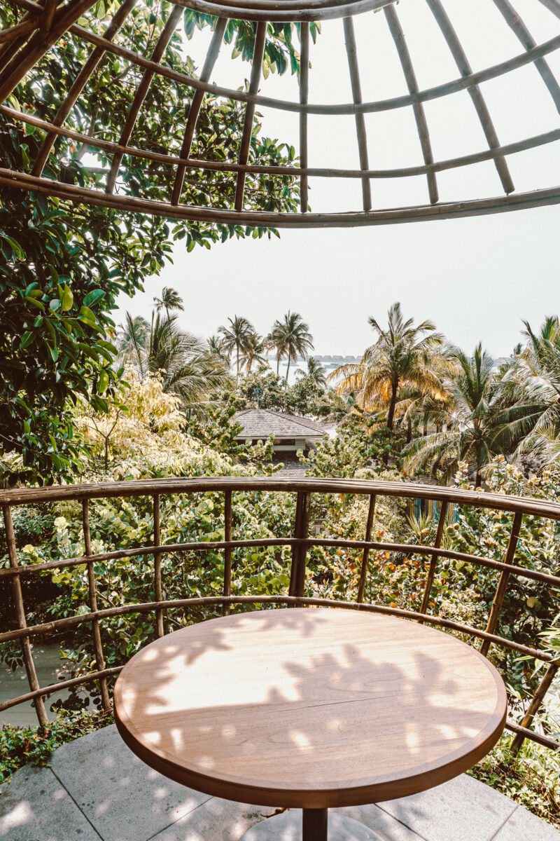 Terra restaurant maldives waldorf