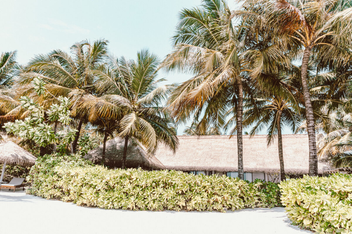 beach villas waldorf astoria maldives